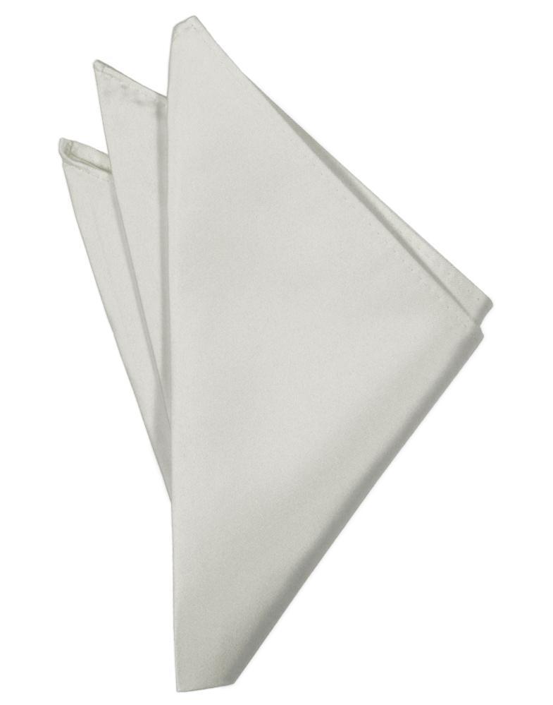 Platinum Noble Silk Pocket Square – LittleTuxedos.com